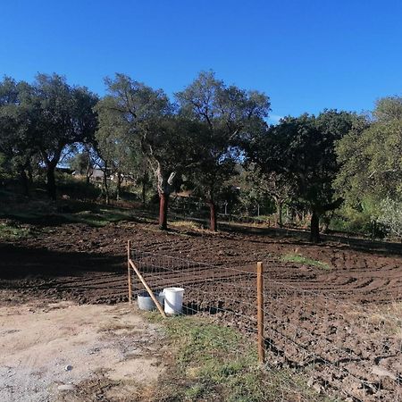 Vila Casas De Marvao - Quinta Da Bela Vista Exteriér fotografie