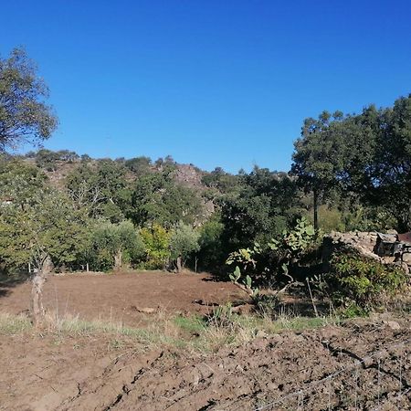 Vila Casas De Marvao - Quinta Da Bela Vista Exteriér fotografie