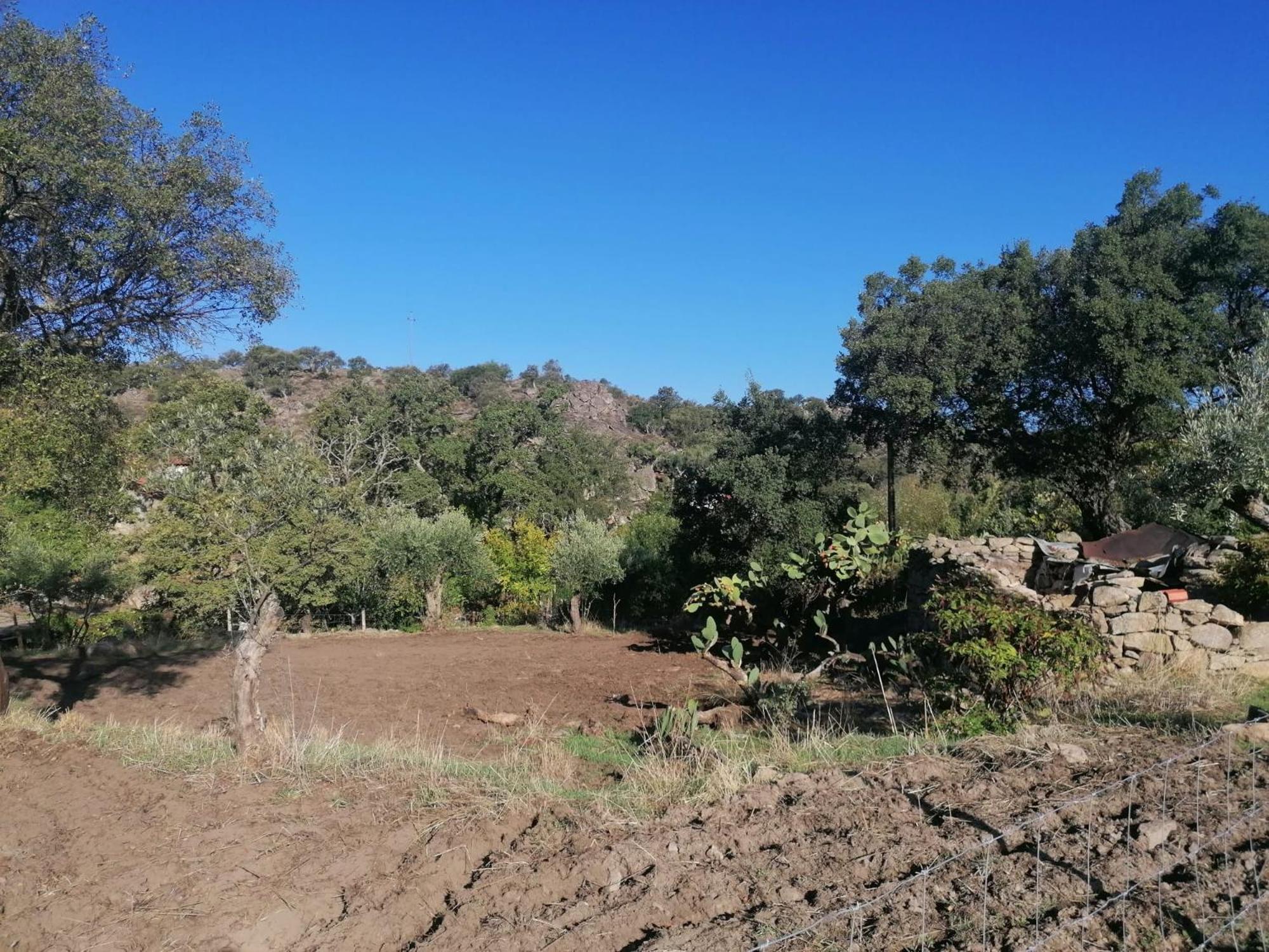 Vila Casas De Marvao - Quinta Da Bela Vista Exteriér fotografie